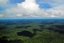 Vista aérea de la Amazonía. Foto: Neil Palmer / CIAT